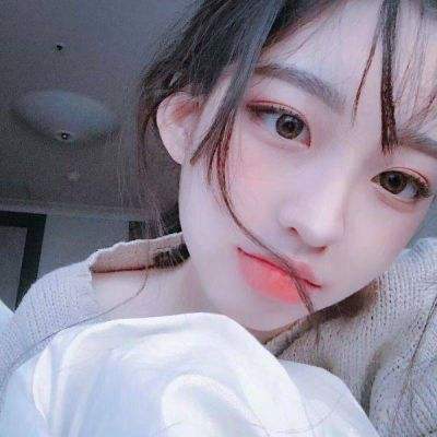 诺亚计划官方下载